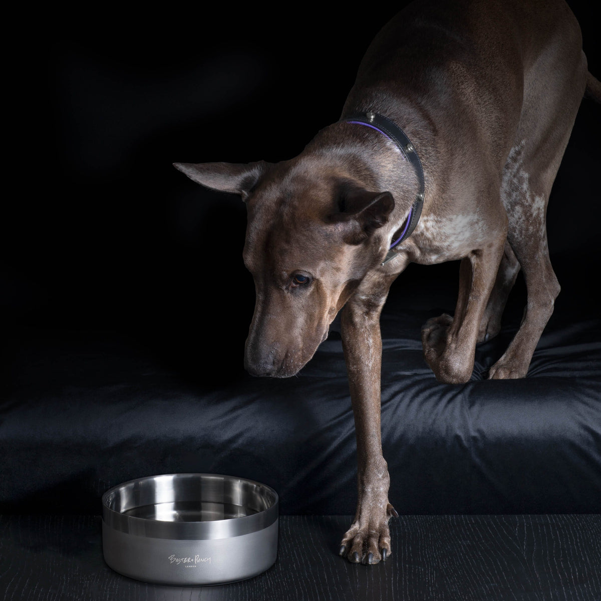 B+P Dog Bowl Silver Large