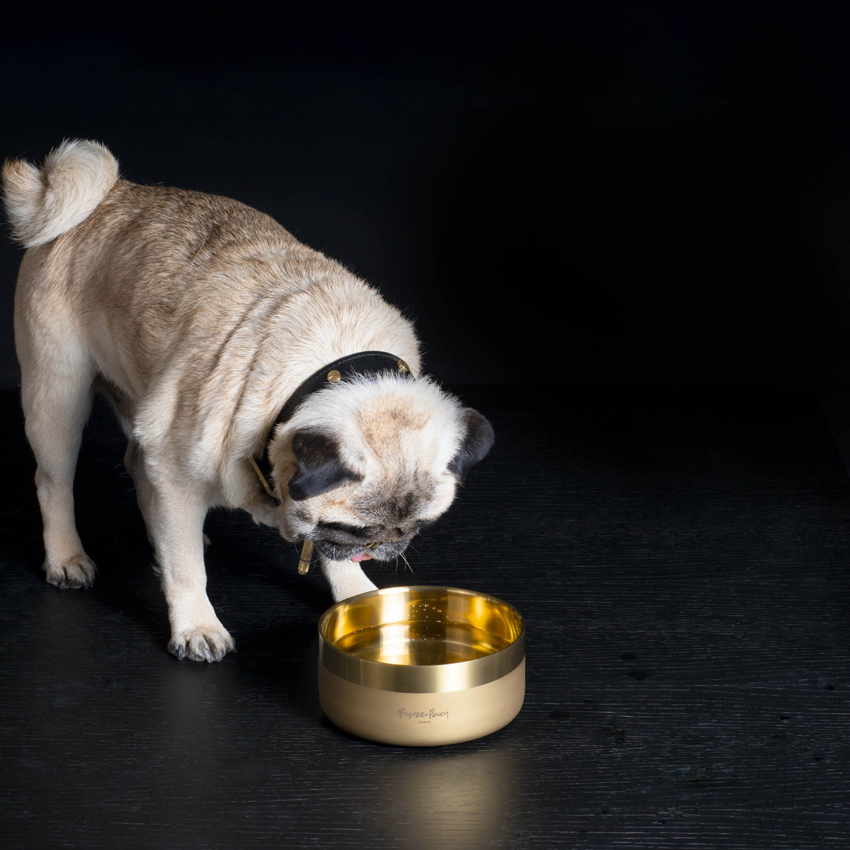 B+P Dog Bowl  Brass Small