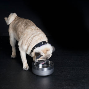 B+P Dog Bowl Silver Small